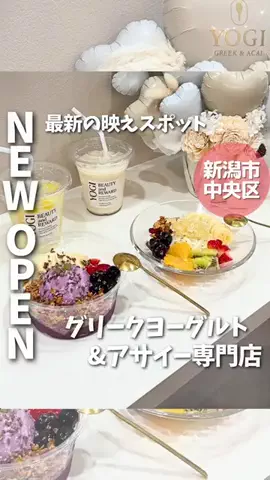 もぐもぐ新潟のTikTok投稿