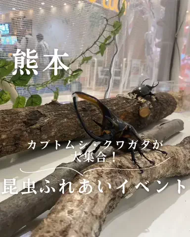 𝐫 𝐨 𝐧のTikTok投稿