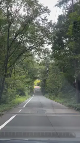 山梨グルメ／YAMANASHI SELECTのTikTok投稿