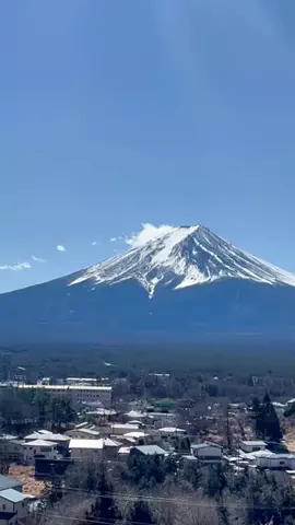 山梨グルメ／YAMANASHI SELECTのTikTok投稿