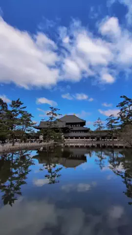 ぎょ丼💚のTikTok投稿