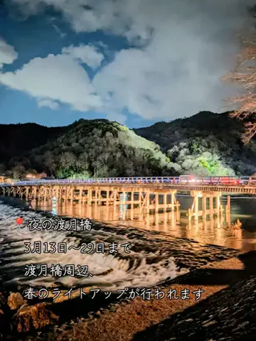 ぎょ丼💚のTikTok投稿