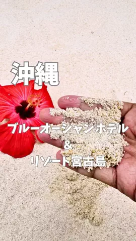 はらぺこももたすのTikTok投稿