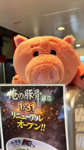 よっしぃ旅グルメのTikTok投稿