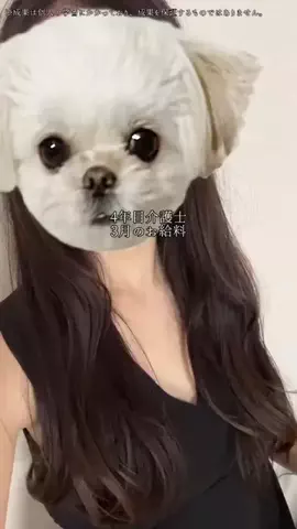 うたのTikTok投稿