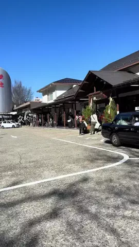 よっぴぃのTikTok投稿