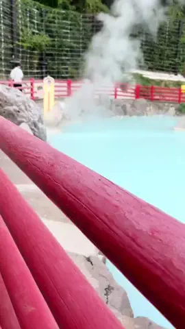 よっぴぃのTikTok投稿