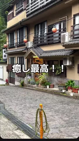 よっぴぃのTikTok投稿