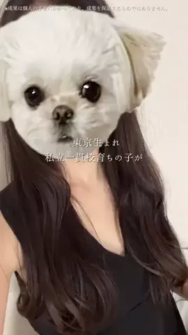 うたのTikTok投稿