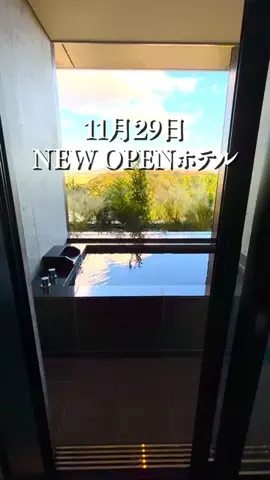 tabi_gocoroのTikTok投稿