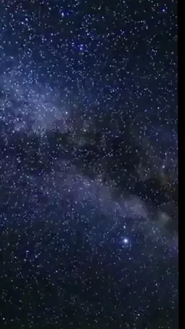 よっぴぃのTikTok投稿