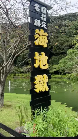 よっぴぃのTikTok投稿