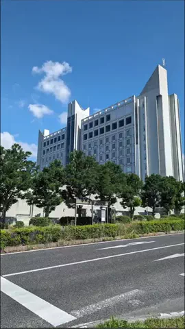 よっぴぃのTikTok投稿