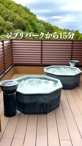 tabi_gocoroのTikTok投稿