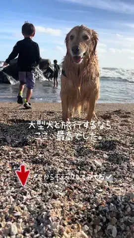 きなこと3兄弟のTikTok投稿
