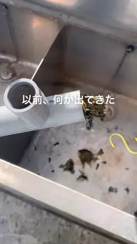 えみぃ🧹🫧築60年の汚部屋のTikTok投稿