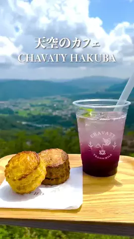 tabi_gocoroのTikTok投稿