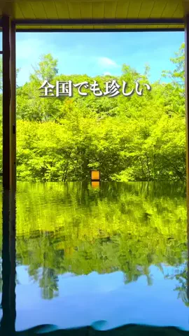 tabi_gocoroのTikTok投稿