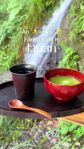 amberjapantravelsのTikTok投稿