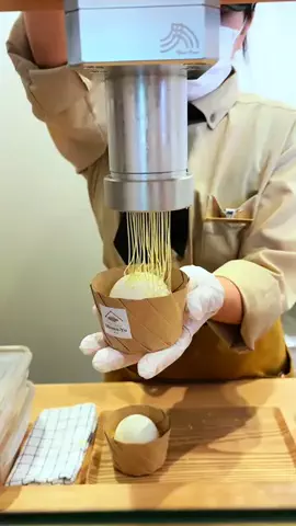 amberjapantravelsのTikTok投稿
