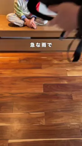 もこパパ⌇親子ふれあう簡単おうち遊びのTikTok投稿