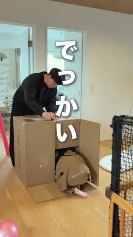もこパパ⌇親子ふれあう簡単おうち遊びのTikTok投稿