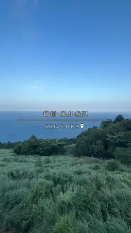 maaii_hotelのTikTok投稿
