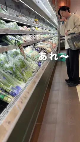 もこパパ⌇親子ふれあう簡単おうち遊びのTikTok投稿