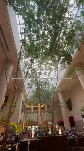 maaii_hotelのTikTok投稿