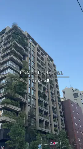 maaii_hotelのTikTok投稿