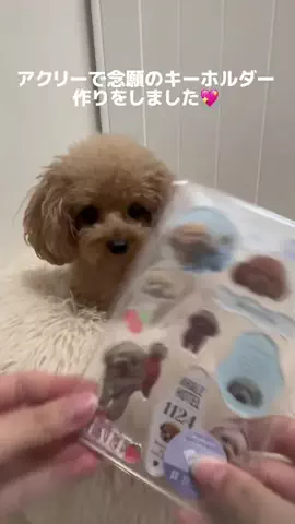 あられちゃんのTikTok投稿