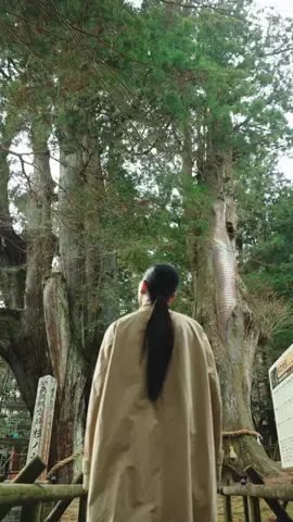 高知観光officialのTikTok投稿