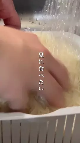しゅうブログのTikTok投稿