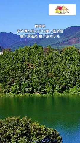 おでかけポコのTikTok投稿