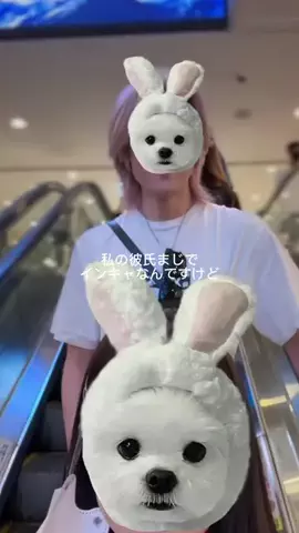 ななのTikTok投稿