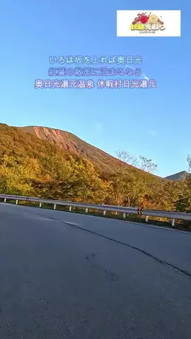 おでかけポコのTikTok投稿
