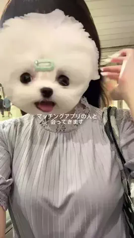 ななのTikTok投稿