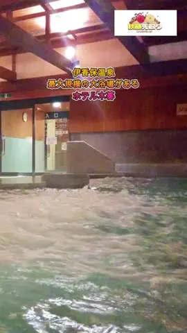 おでかけポコのTikTok投稿