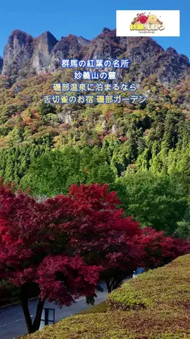 おでかけポコのTikTok投稿