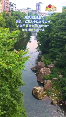 おでかけポコのTikTok投稿