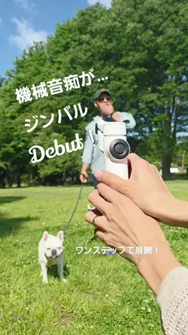 フレブルのやまわきさんのTikTok投稿