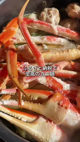株式会社カリーグズのTikTok投稿