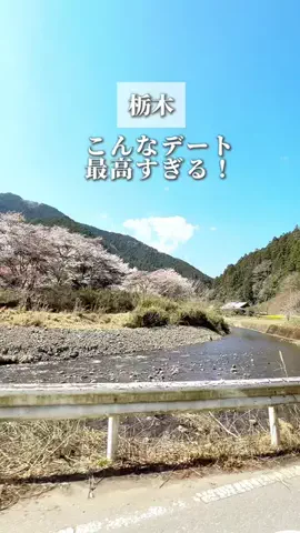 あいペコ￤栃木デート&グルメのTikTok投稿