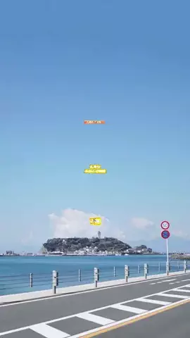 株式会社カリーグズのTikTok投稿
