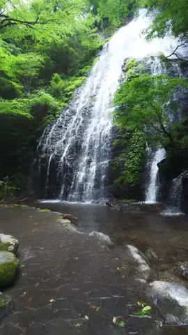 hiro_trip_filmのTikTok投稿