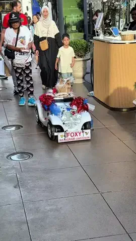 ロイ🤡💡のTikTok投稿