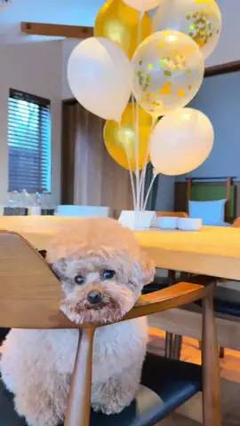 むぎ🍫🧸のTikTok投稿