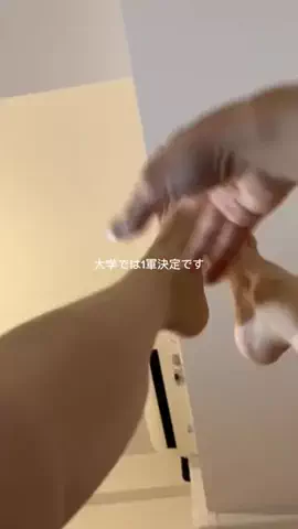 ななのTikTok投稿