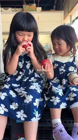 kotokafuruyamaのTikTok投稿
