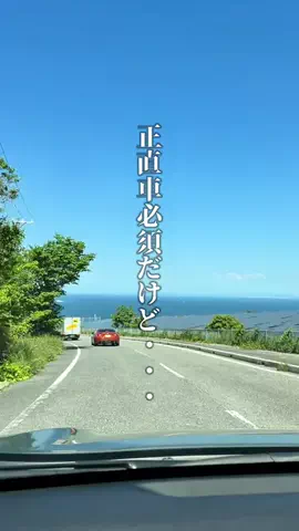 神戸グルメまひろのTikTok投稿